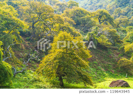 [長野縣]秋天的小野垂淚九里棲息地 119643945