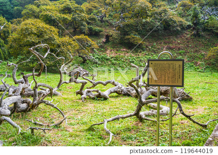 【長野縣】小野的垂草荒野舊木器 【長野縣】小野的垂草荒野舊木器 119644019