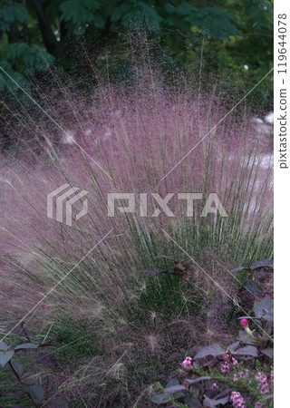 木倫貝耳 119644078