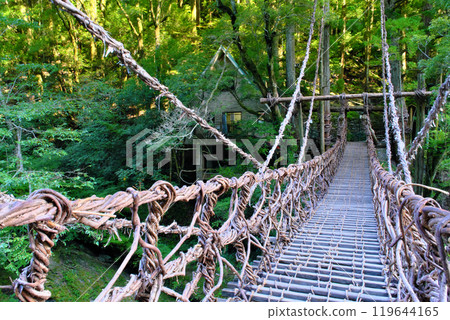Iyanokazura Bridge, Tokushima Prefecture 119644165