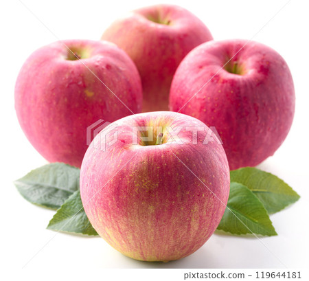 Nagano Prefecture Shinano Sweet (apple) white background Nagano Prefecture Shinano Sweet (apple) white background 119644181