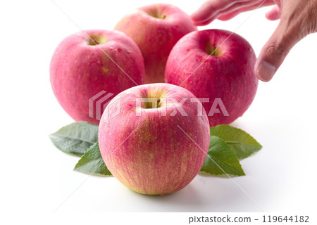 Nagano Prefecture Shinano Sweet (apple) white background 119644182