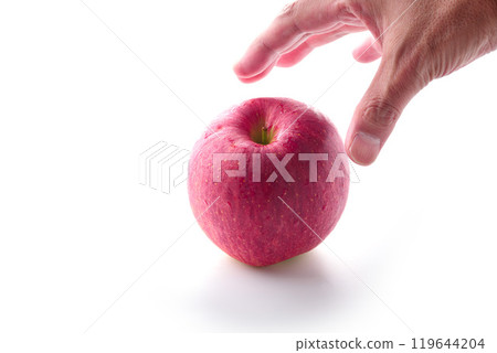 來自長野縣的信濃甜（蘋果）白色背景 119644204