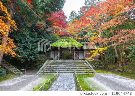 深秋的Bunkyoin 119644748
