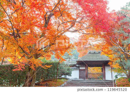 秋天安祖拉寺 119645520