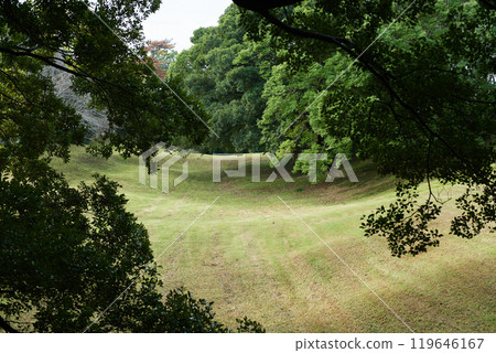 早上沿著草坪散步 早上沿著草坪散步 119646167