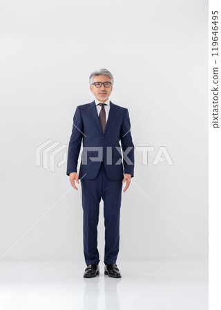 Businessman, gray hair, whole body Businessman, gray hair, whole body 119646495