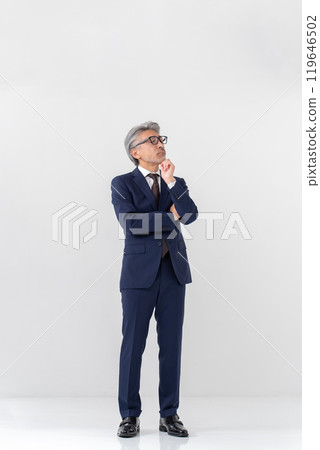 Businessman, gray hair, whole body, worried Businessman, gray hair, whole body, worried 119646502