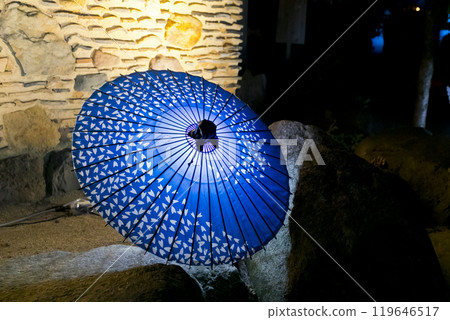 Night Walk 119646517