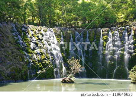 花宮湖公園 明神瀑布/石清水瀑布 119646623