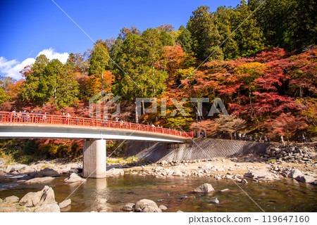 Korankei Autumn Leaves and Machitsuki Bridge 119647160