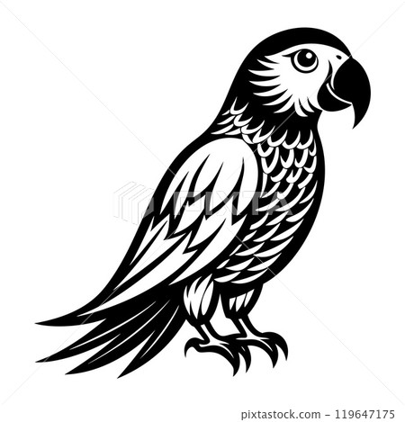 parrot icon Black and white logo, bird silhouette, engraving style. Pet character 119647175