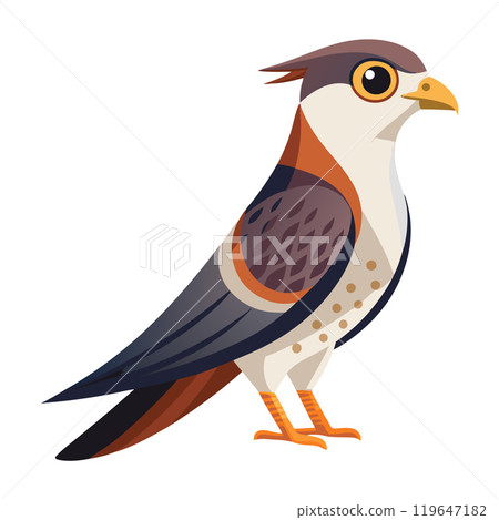 hawk flat style isolated on white background 119647182