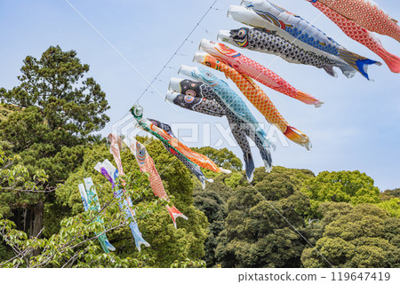 靜岡縣御前崎市荒澤故鄉公園，鯉魚旗在藍天中游動 119647419