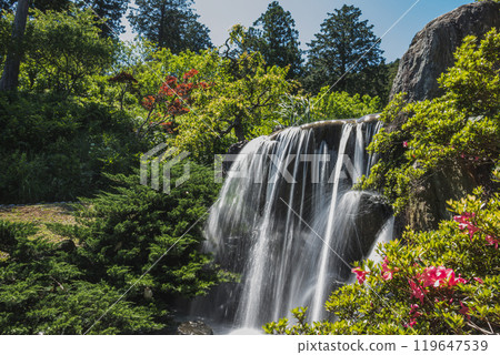 被新綠色包圍的瀑布（靜岡縣） 119647539