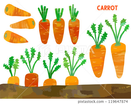 Carrot paper-cut illustration set 119647874