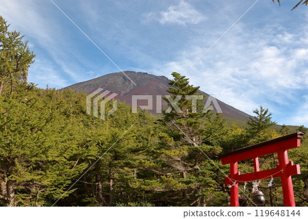 View from the 5th station of Mt. Fuji 119648144