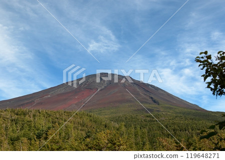 View from the 5th station of Mt. Fuji 119648271