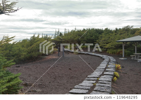 View from the 5th station of Mt. Fuji 119648295