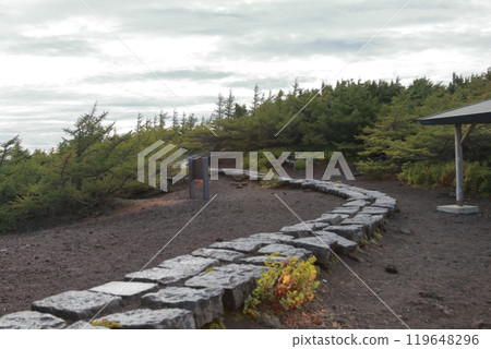 View from the 5th station of Mt. Fuji 119648296