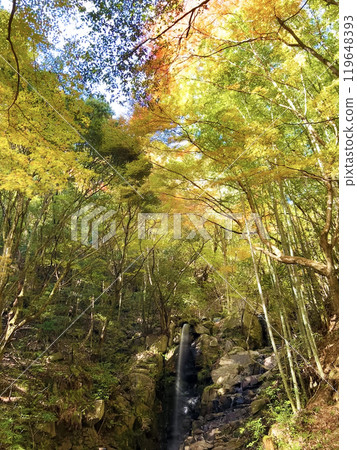 Waterfall wrapped in autumn leaves 119648393