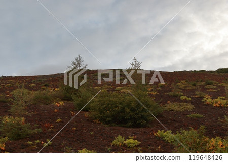 從富士山五合目眺望的景色 119648426