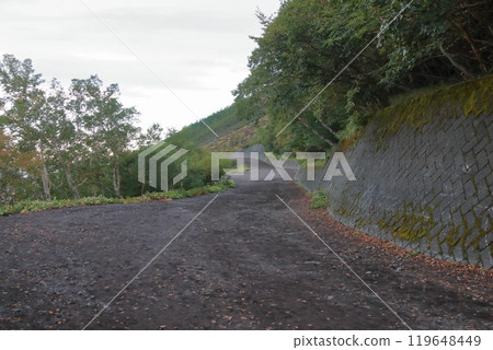 從富士山五合目眺望的景色 從富士山五合目眺望的景色 119648449