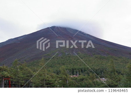 View from the 5th station of Mt. Fuji 119648465