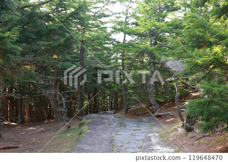 從富士山五合目眺望的景色 從富士山五合目眺望的景色 119648470