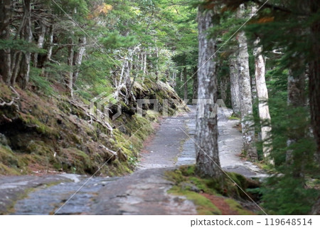 View from the 5th station of Mt. Fuji View from the 5th station of Mt. Fuji 119648514