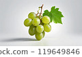 青葡萄（一串） 119649846