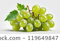 綠葡萄（很多） 119649847