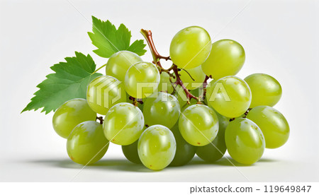 綠葡萄（很多） 119649847