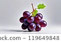 紫葡萄（少） 119649848
