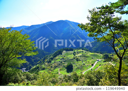 [Gifu Prefecture] Ibigawa Town, Gifu's Machu Picchu, Tea Fields in the Sky 119649940