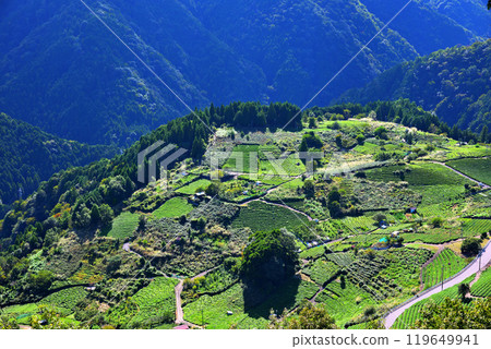 [岐阜縣] 揖斐川町、岐阜馬丘比丘、空中茶園 119649941