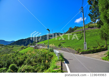 [Gifu Prefecture] Ibigawa Town, Gifu's Machu Picchu, Tea Fields in the Sky 119649963