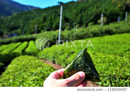 在茶園吃的飯糰 在茶園吃的飯糰 119650097