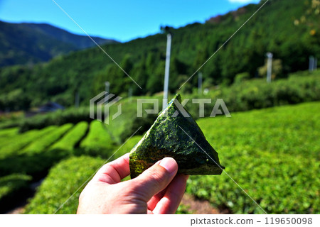 在茶園吃的飯糰 在茶園吃的飯糰 119650098