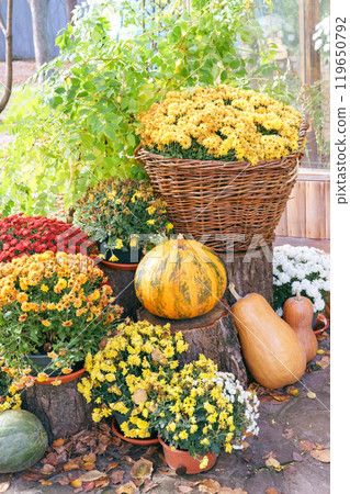 Vibrant autumn flowers and pumpkins arranged in a charming outdoor garden decorative composition Vibrant autumn flowers and pumpkins arranged in a charming outdoor garden decorative composition 119650792