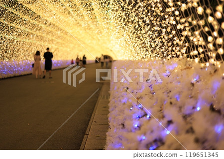 Couple enjoying the illuminations 119651345