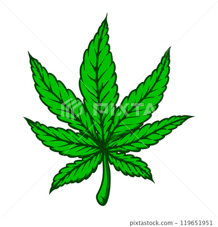 Illustration of cannabis leaf. Design element for poster, t shirt, sign. Vector illustration 119651951