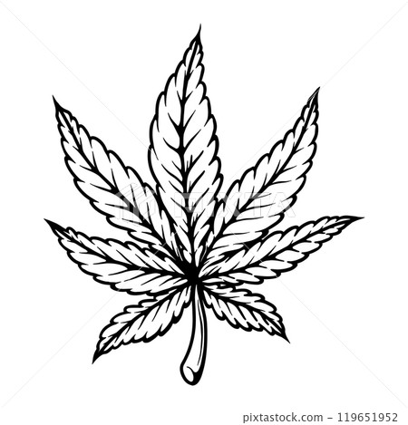 Illustration of cannabis leaf. Design element for poster, t shirt, sign. Vector illustration 119651952