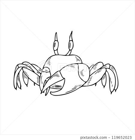 Vector cartoon Fiddler crab with big claw line art black ink isolated sketch. Sea animal hatching monochrome black engraving. For coloring page, book, tattoo. 119652023