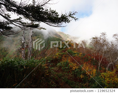 Autumn leaves and flowing clouds on Mt. Takatsuma 119652324