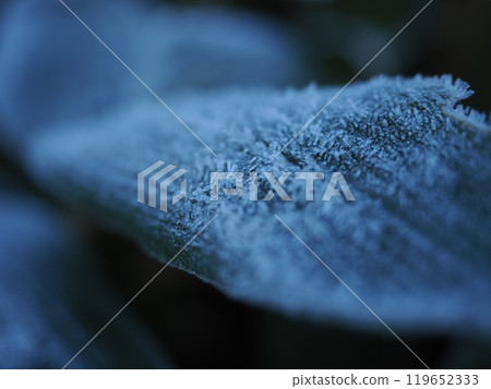 深秋的高原早晨 深秋的高原早晨 119652333