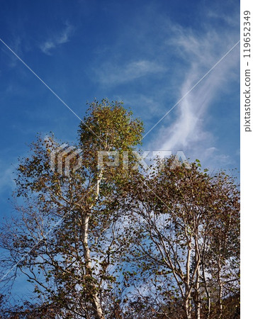 妙高高原的秋日天空 妙高高原的秋日天空 119652349