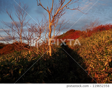 Myoko Kogen in autumn: Promenade and autumn leaves Myoko Kogen in autumn: Promenade and autumn leaves 119652358