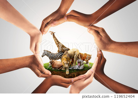 Wildlife Conservation Day. wildlife protection, multiracial human come to build hands in shape of circle to protect the environment. promote conservation wildlife. gray background. Wildlife Conservation Day. wildlife protection, multiracial human come to build hands in shape of circle to protect the environment. promote conservation wildlife. gray background. 119652404
