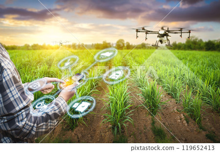 asian male farmer working in Sugarcane farm To collect data to study. Innovation technology for Develop farms to improve production efficiency. 119652413
